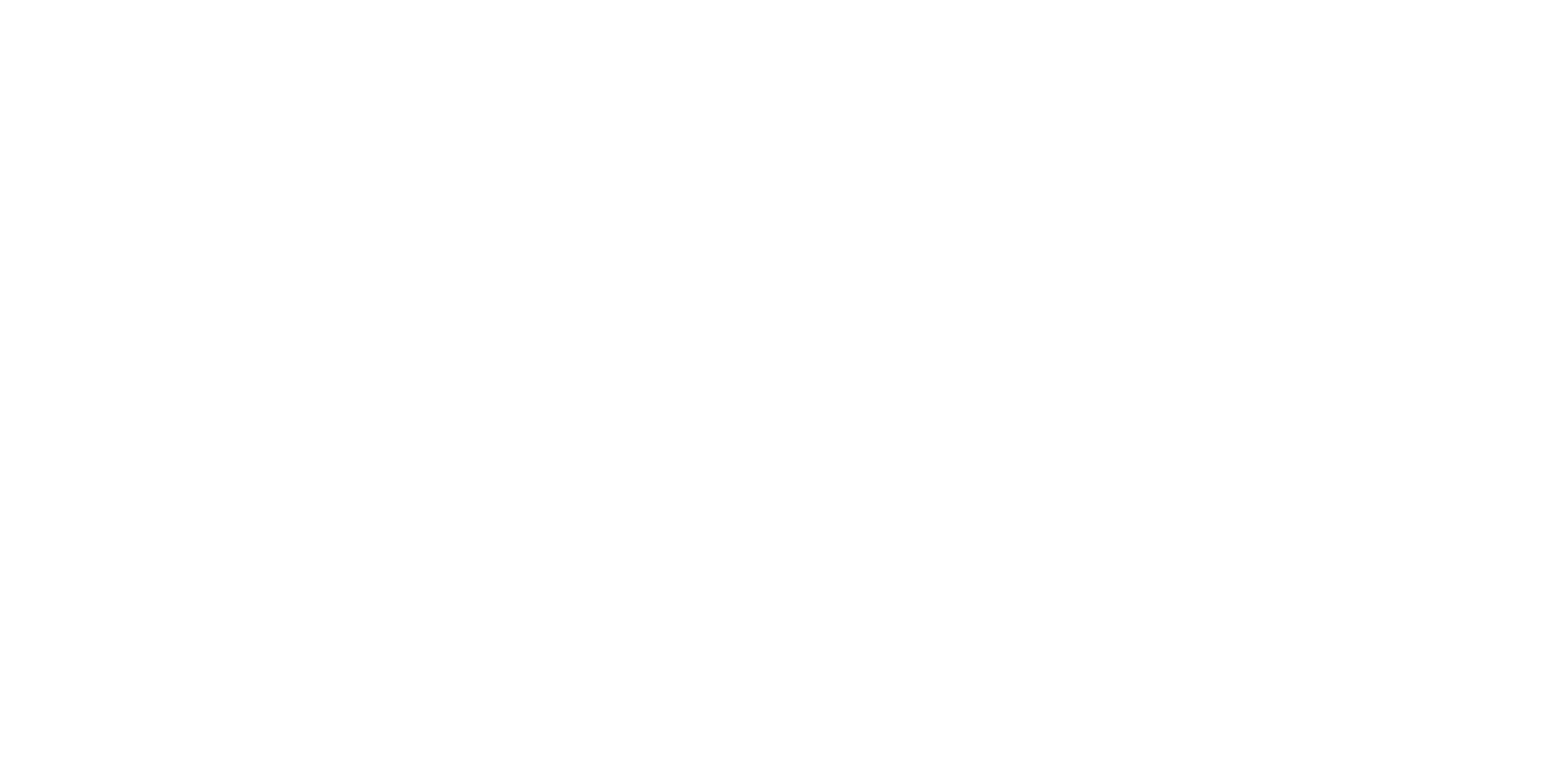 RIPAILLE.TV